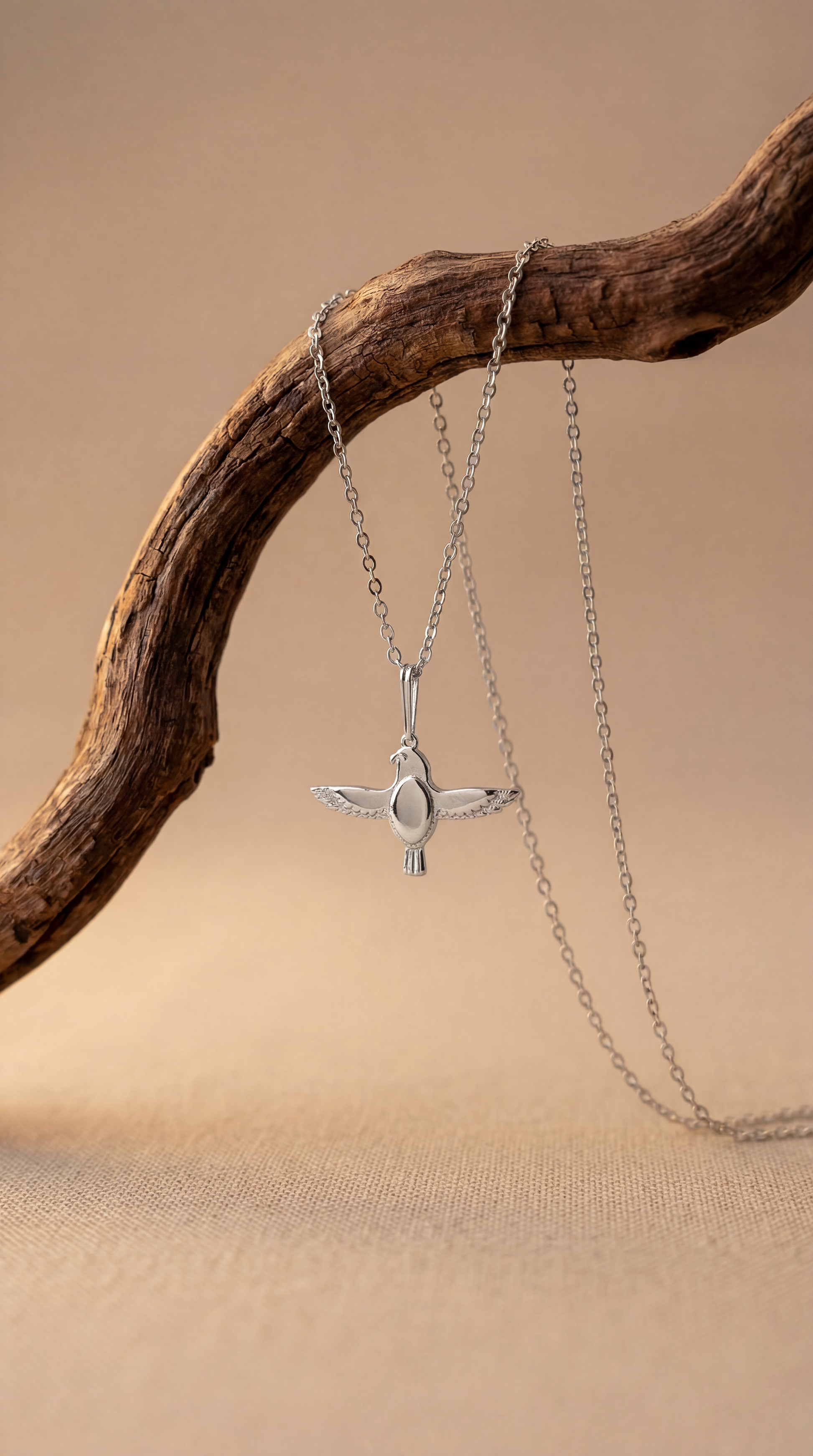 silver falcon necklace on wooden beige background